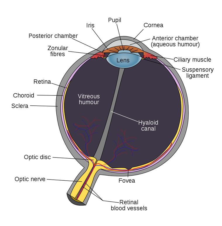 eyediagram.jpg