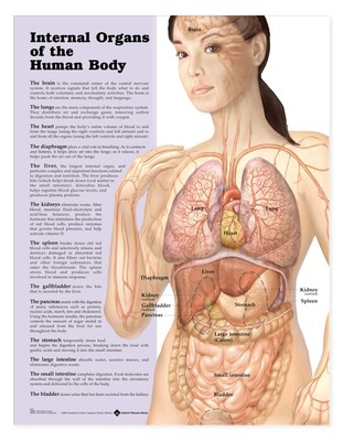 img_img_9781587798290_internal_organs_chart.jpg